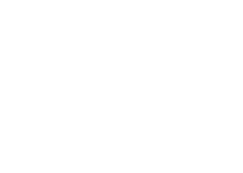 Logo diferencial 2